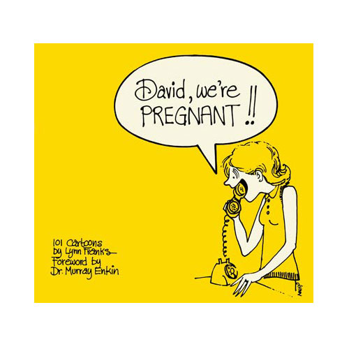 David We're Pregnant Cover