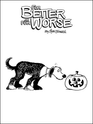 Edgar sniffs a carved pumpkin